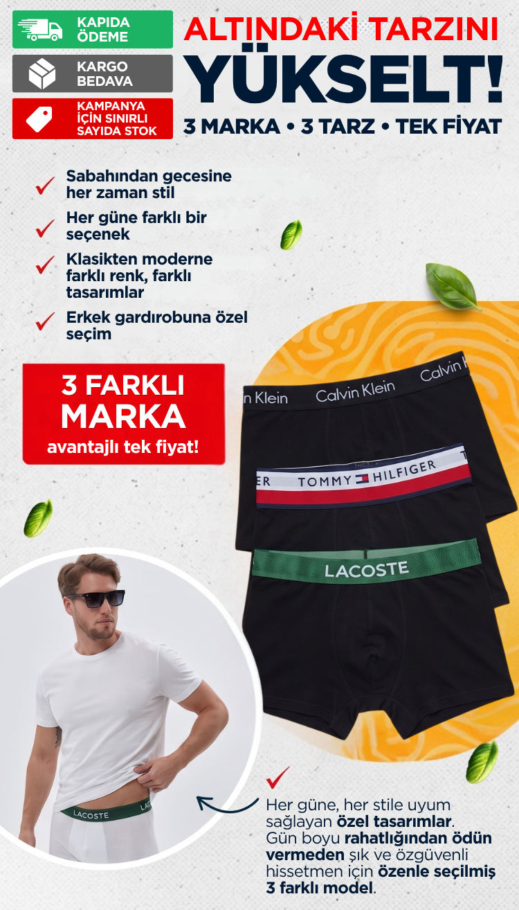 Premium Boxer tanıtım görseli 3